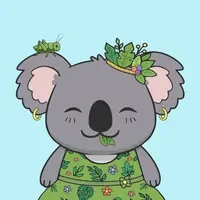 Kokopi Koalas