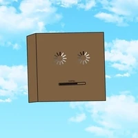 Box Heads