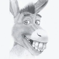 A Donkey 