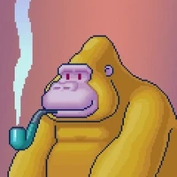 Original Kongs