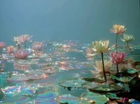 If I were a flower, I'd be a water lily