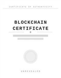 Blockchain Certificates