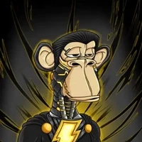 Yachting Ape Club