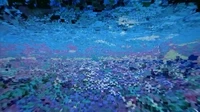 Inner Fields