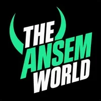 The Ansem World