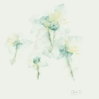 Latent Botany