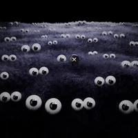 FLOOPS