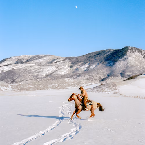 Wandering America