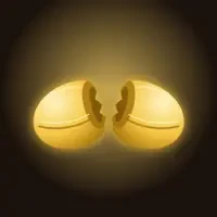 Fortune Cookies