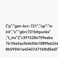 GBRC721 BitPunks