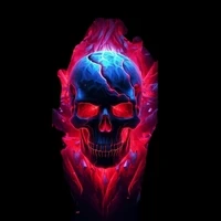 Lexica skull