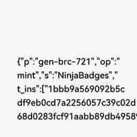 Ninja Badges