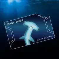 TENZOR SHARKZ SEASON 2