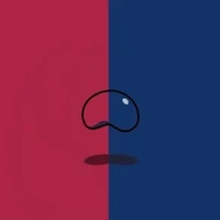 The Bean Matrix