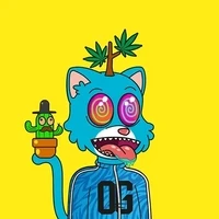 Kush Katz OG