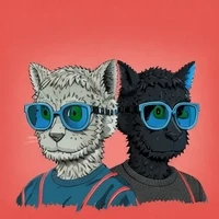 glasses cat