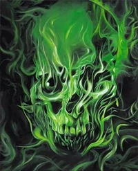 Kauai Walmart (Green Skull) c63ca8