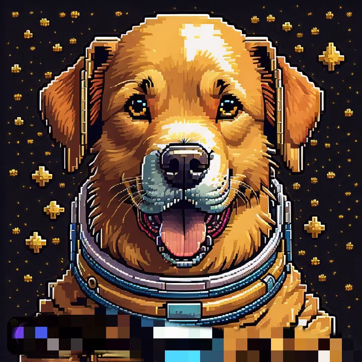 zkSpaceDogs