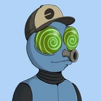 Based Fly Degen