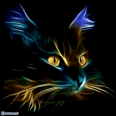 CyberCat b896e9