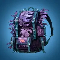 DistrictP: BackPacks