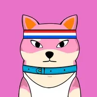 Shibashi