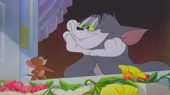 Tom & Jerry dd295c