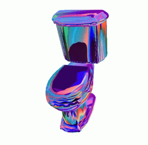 Holographic toilet