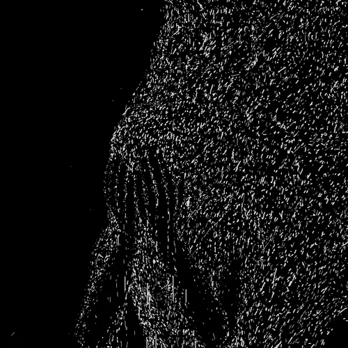 D̴̢҇1̸͢͡R҉̕͜T̸͜͠Y̶̢͞P̷̧͡X̵͢͡L̶̛͢S҉̧͠ /ETH