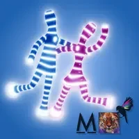 MisucMaker Techno Worm