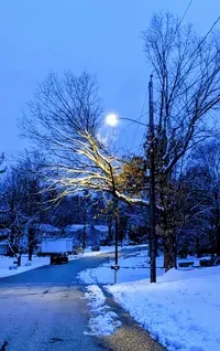 Beauty Innately