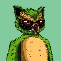 Solana Owl Society