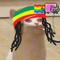 POPCAT