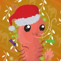 Prawn Cracker by Alicia Freeman x Reddit Collectible Avatars