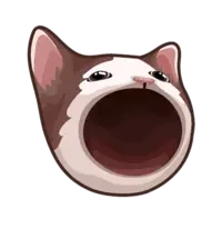 POPCAT NFTs