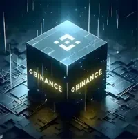 BNB-420 Black Box