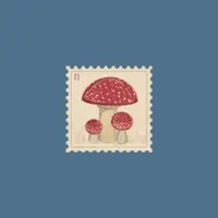 ASHROOM
