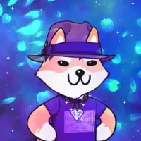 Dogelon: Mission SOLANA