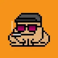 BitcoinToad Punks