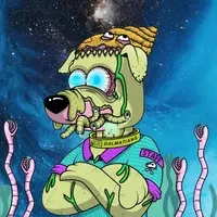 Polygon Dog