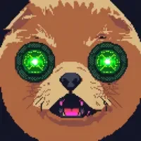DERP METADUMBPROTOCOL