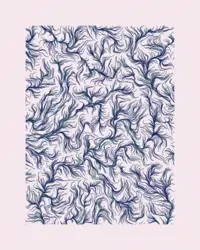 sketch.js