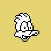 Degen Dumb Ducks