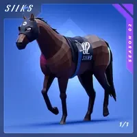 Silks Racehorses