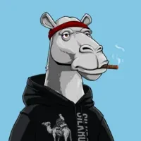 The Lost Camel Society