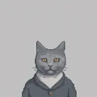 based cats