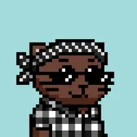 Drip Cats