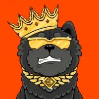 Bitdogs