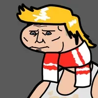 valadimir puten