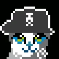 PIXEL CATWIFHAT
